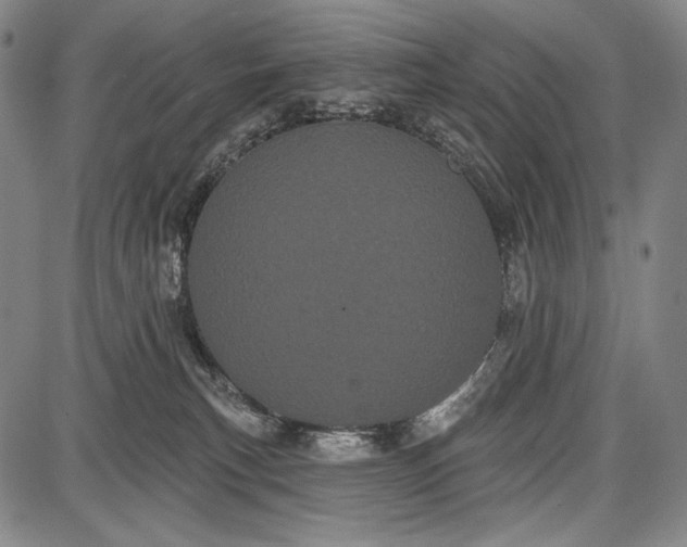 X0000087630183200705181509