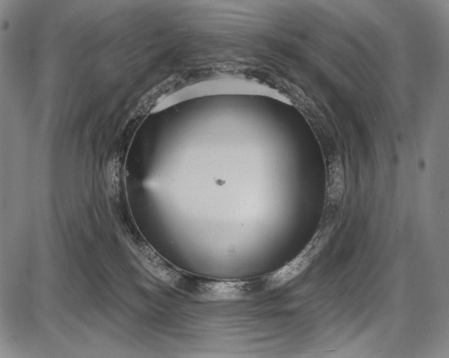 X0000087630184200705181509