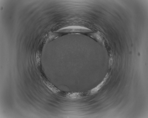 X0000087630186200705181510