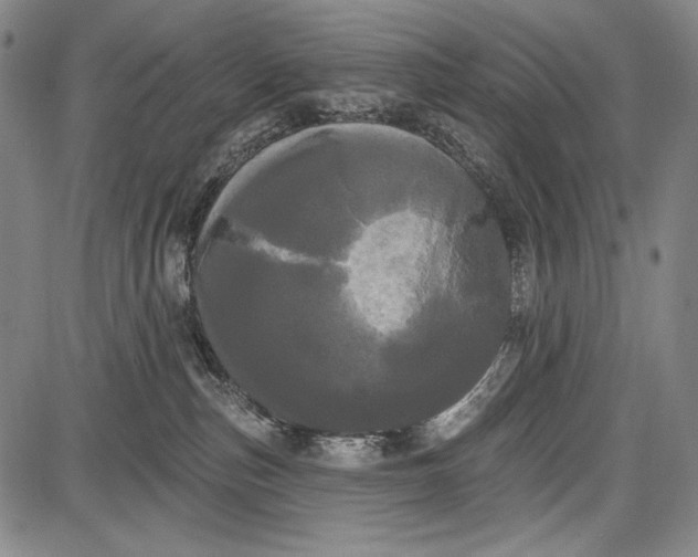 X0000087630187200705181510