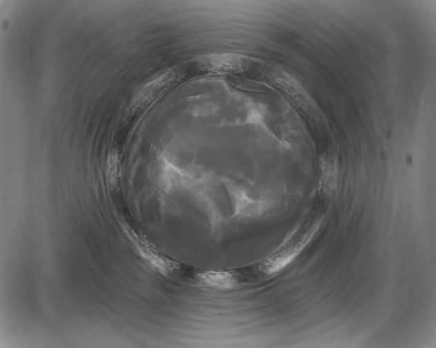 X0000087630189200705181510