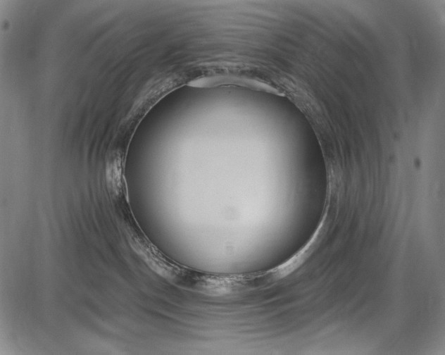 X0000087630190200705181510