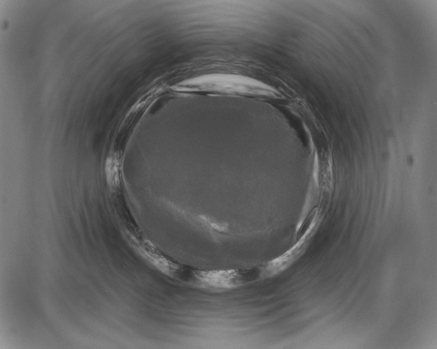 X0000087630191200705181510