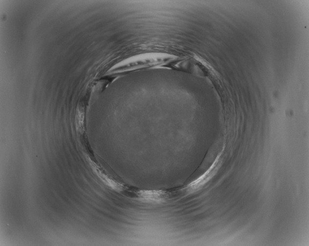 X0000087630192200705181510