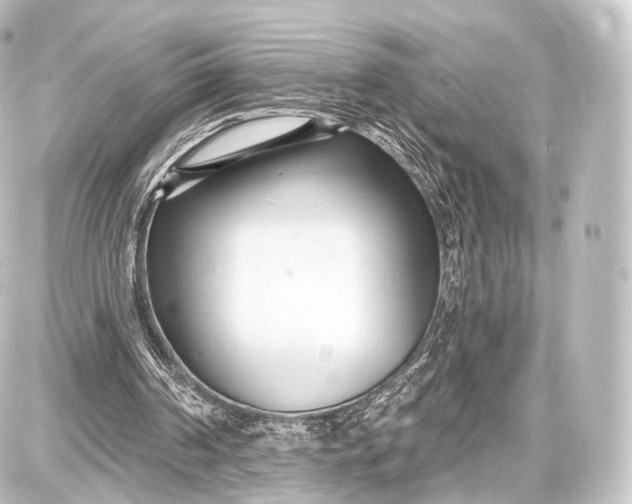 X0000087630194200705181509