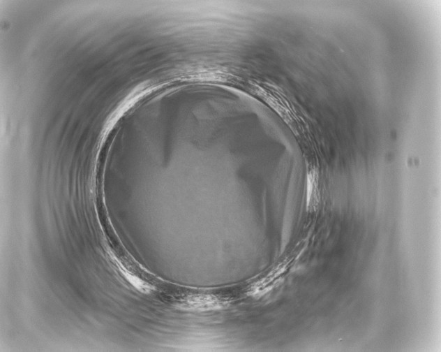 X0000087630195200705181509