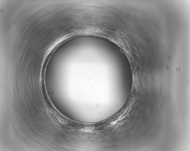 X0000087630196200705181509