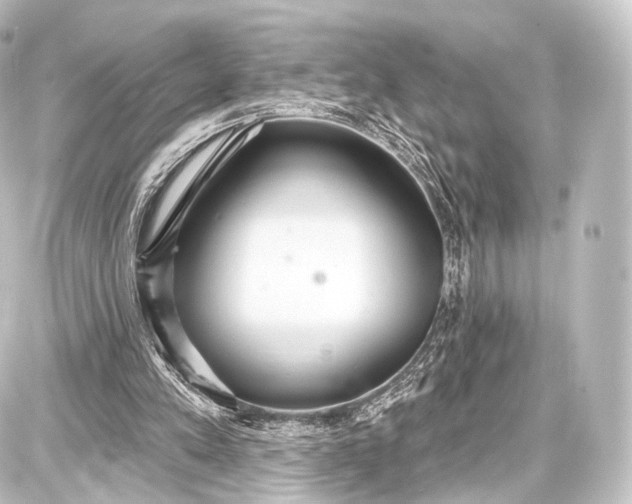 X0000087630197200705181509