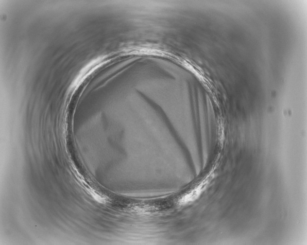 X0000087630199200705181509