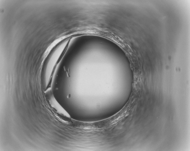 X0000087630200200705181509