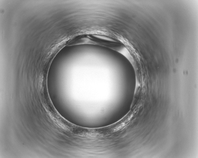 X0000087630201200705181509