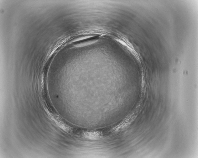 X0000087630202200705181509