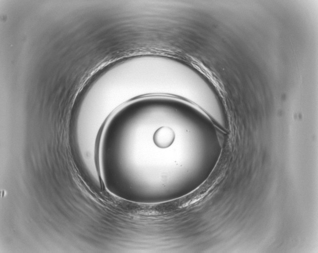 X0000087630203200705181509