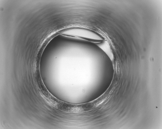 X0000087630204200705181509