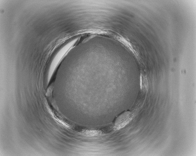 X0000087630205200705181509