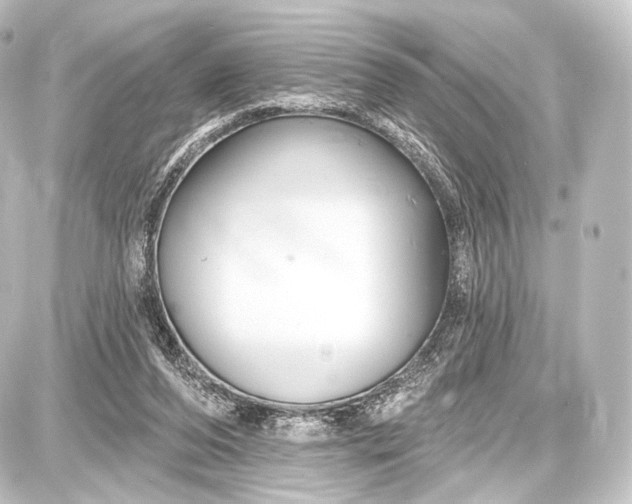 X0000087630208200705181509