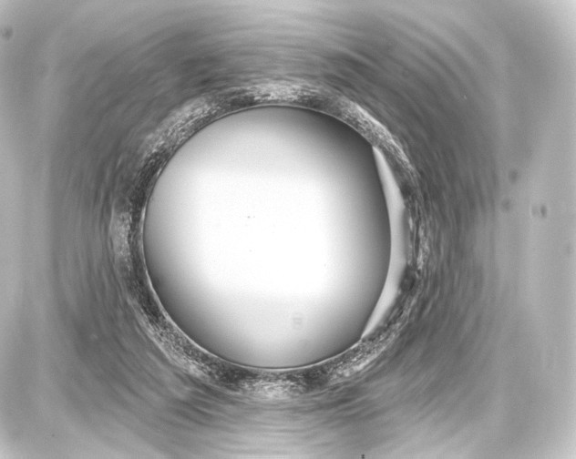 X0000087630209200705181509