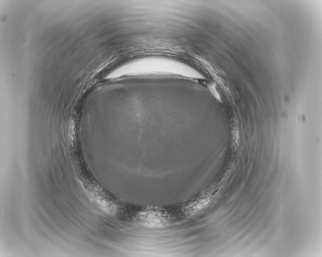 X0000087630211200705181509