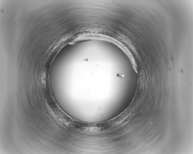 X0000087630212200705181509