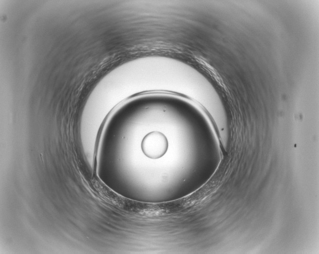 X0000087630213200705181508