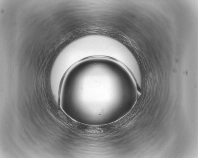 X0000087630215200705181508