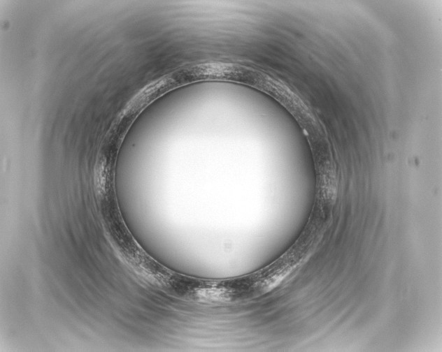 X0000087630216200705181508