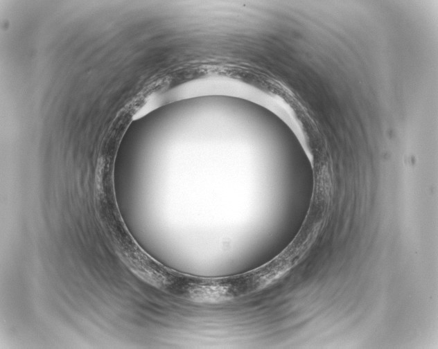 X0000087630217200705181508