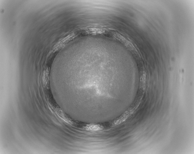 X0000087630218200705181508