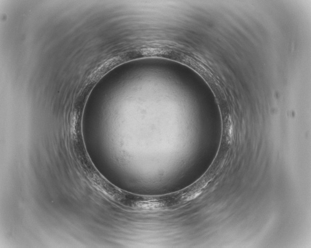 X0000087630219200705181508