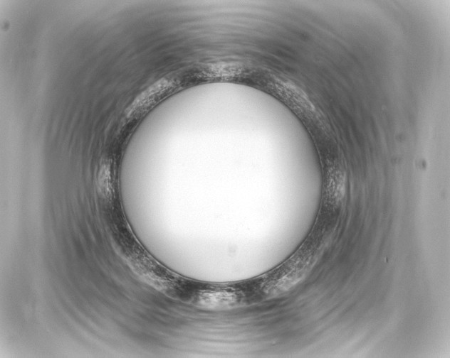 X0000087630220200705181508