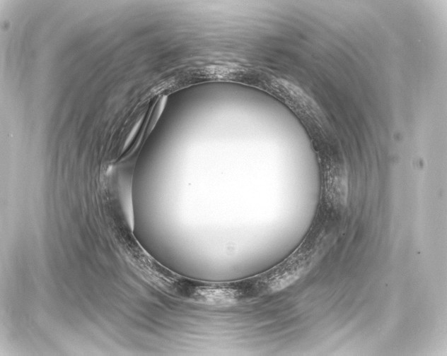 X0000087630221200705181508