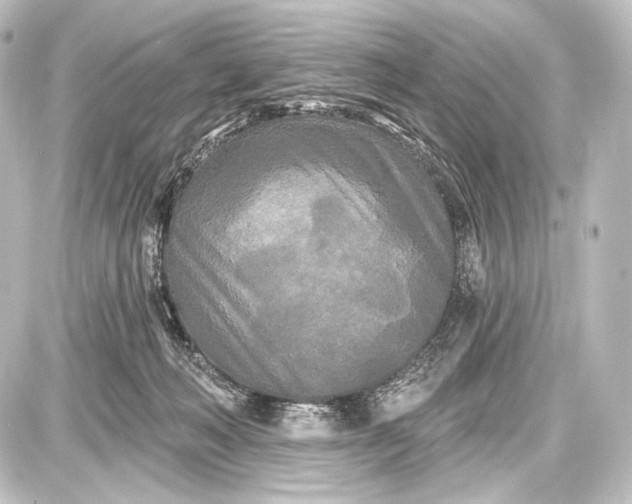 X0000087630222200705181508