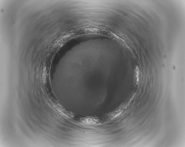 X0000087630223200705181508