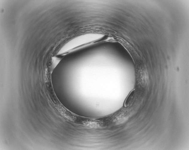 X0000087630224200705181508