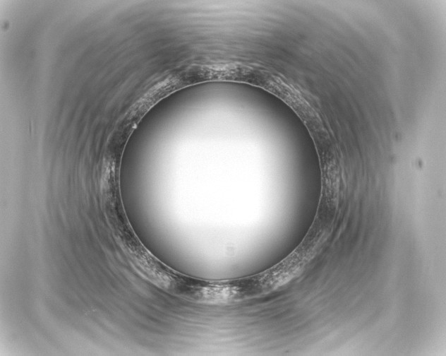 X0000087630225200705181508