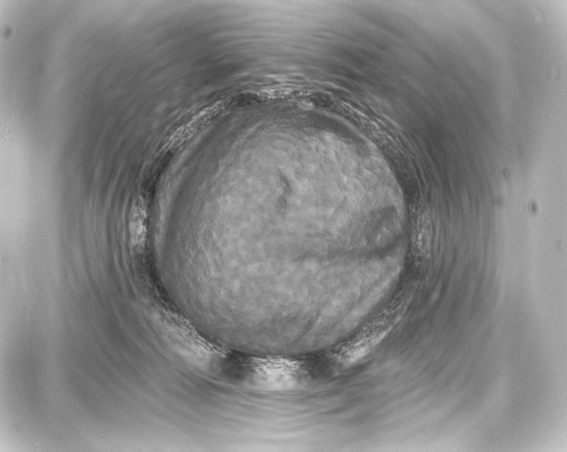 X0000087630226200705181508