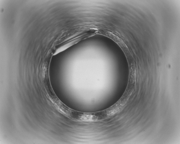 X0000087630227200705181508