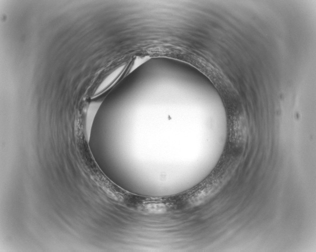 X0000087630228200705181508