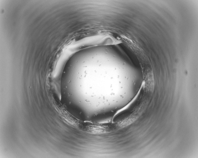 X0000087630229200705181508