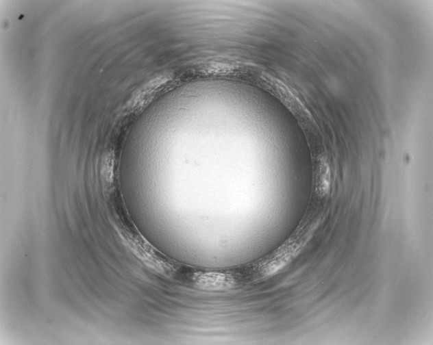 X0000087630230200705181508