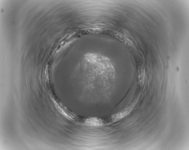 X0000087630231200705181508