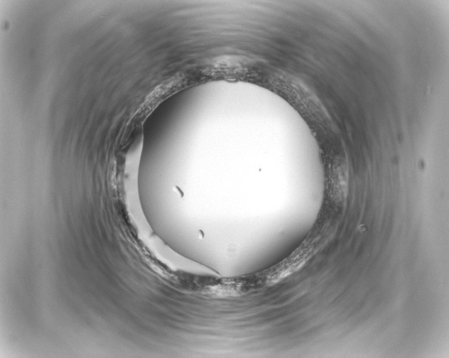 X0000087630232200705181508