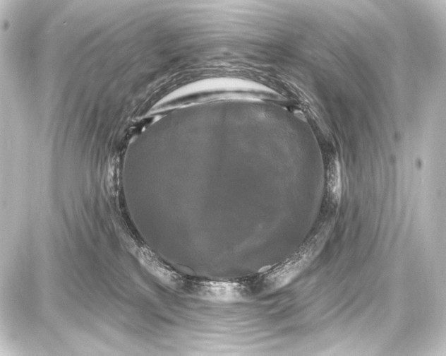 X0000087630233200705181508