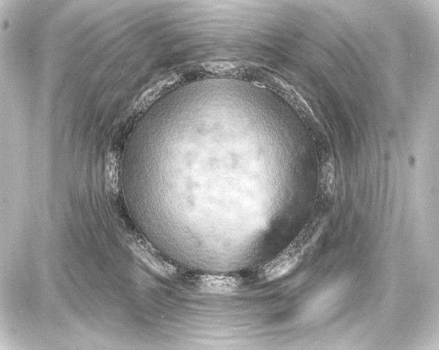 X0000087630234200705181508