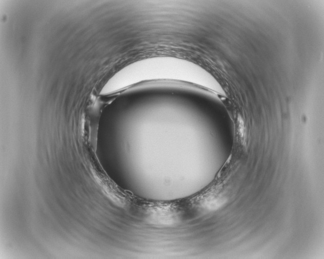 X0000087630235200705181508