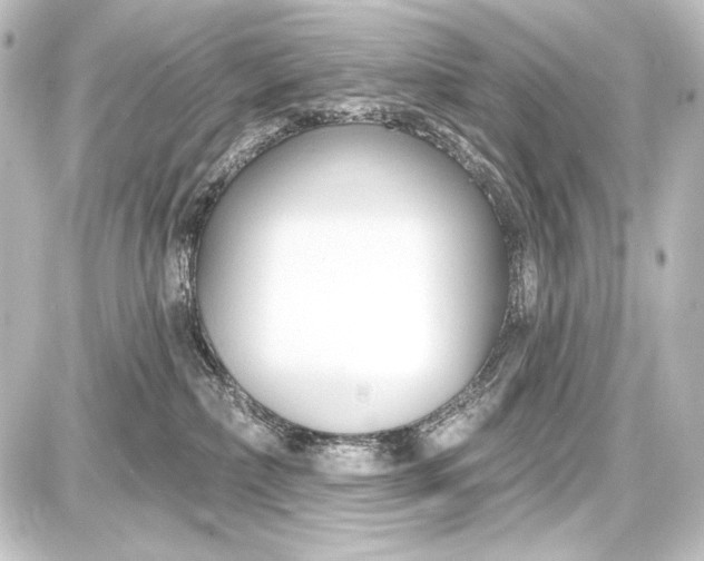 X0000087630236200705181508