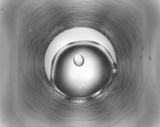 X0000087630237200705181508