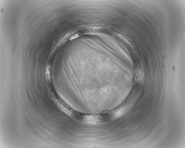 X0000087630238200705181508