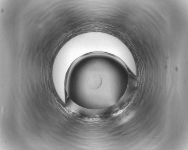 X0000087630239200705181508