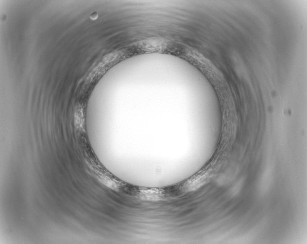 X0000087630240200705181508